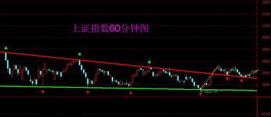 000858股票分析与投资策略