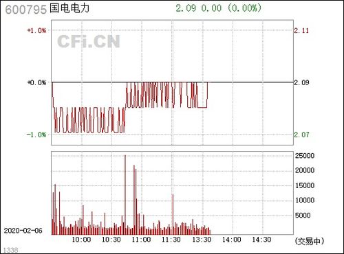 股票分析报告，国电电力（600795）