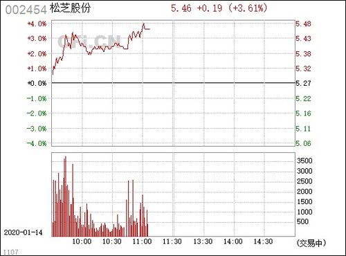 松芝股份（002454）投资分析报告