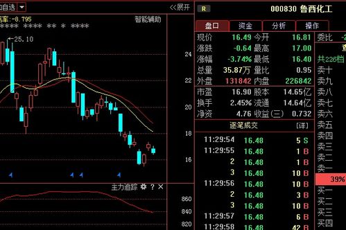 鲁西化工股票投资价值分析及策略建议