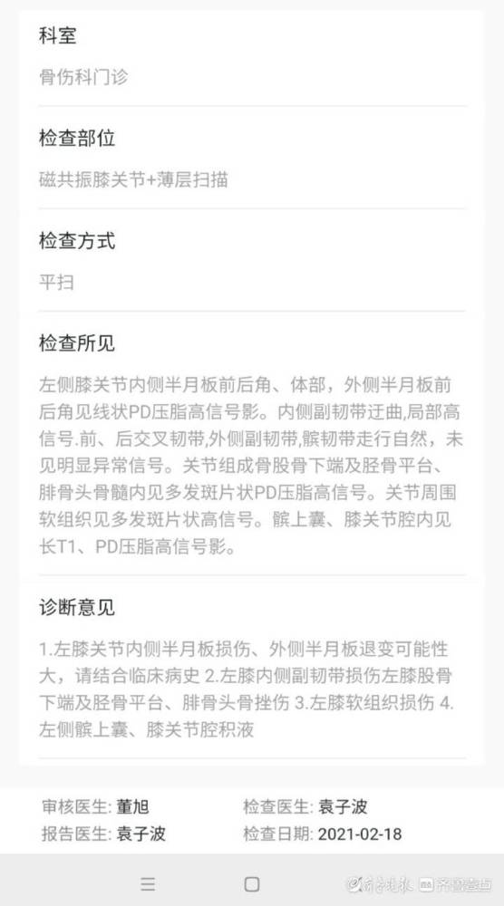 曾投保价值千万的枫王被游客折枝事件深度剖析