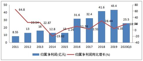 深度解析，国电南瑞——投资潜力与风险评估