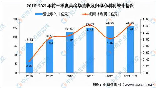 稀土永磁概念股，投资前景与风险分析