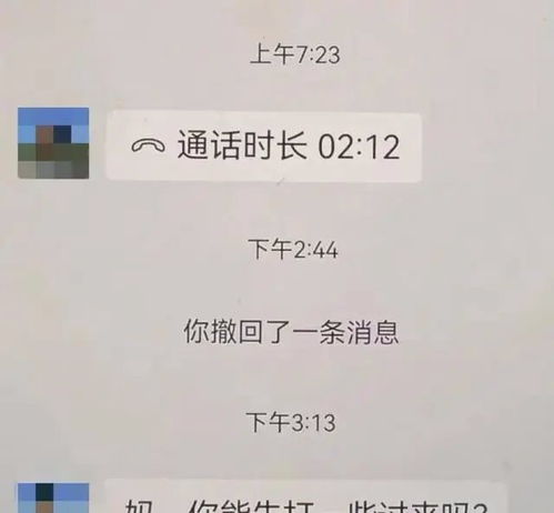 中企高管遭撕票案嫌犯李娜落网，揭开事件背后真相的序幕