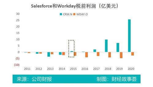 股票300101，深度解析与投资策略