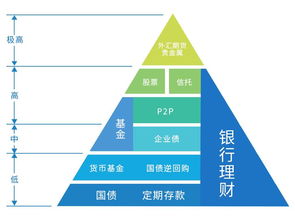 基金270002，投资策略与风险评估分析