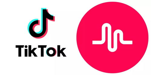 TikTok Music全球关闭，影响与展望