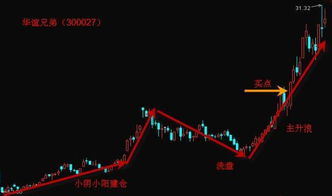 深入解析300160股票——秀强股份的投资价值与风险