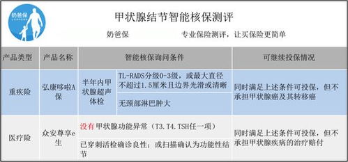 汽车保险理赔查询，全面指南与策略