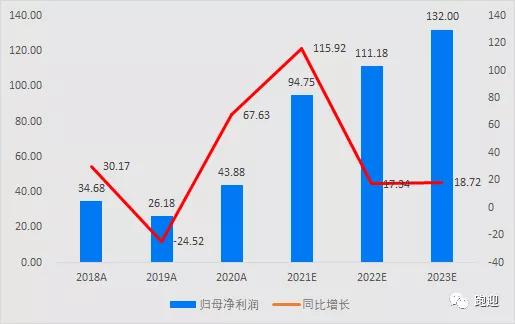 TCL科技集团股份有限公司的投资分析与未来展望