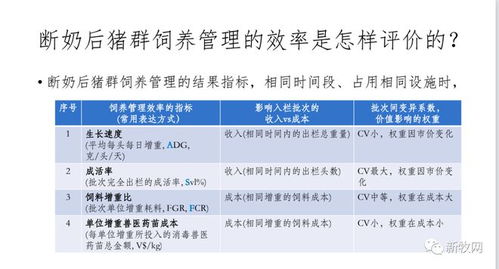 买哪种保险最好，综合评估与个性化选择