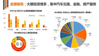 投资分析报告，600509 天富能源