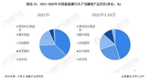 投资分析报告，600509 天富能源