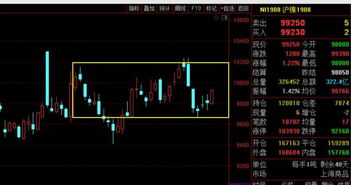 002518股票分析与投资建议