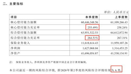 中国人寿保险险种全面解析