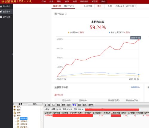 股票分析报告，600122 —— 宏图高科