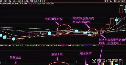 宝光股份股票分析与投资策略