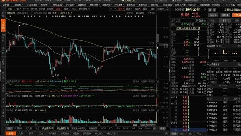 002005股票分析与投资策略探讨