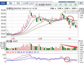 002074股票分析报告与投资建议