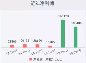 中弘股份退市案例分析与投资启示