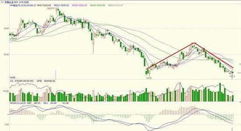 文华期货行情分析与投资策略
