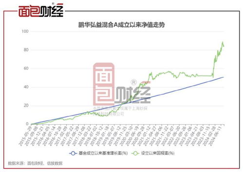 景顺垄断基金净值分析与投资建议