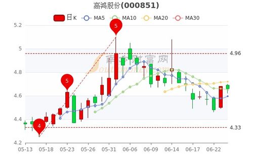 高鸿股份000851，深入解析与投资策略