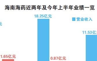 海南海药股份有限公司投资分析报告