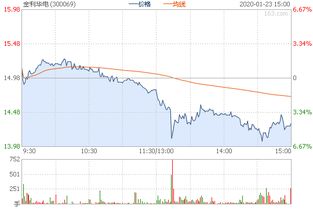 海南海药股份有限公司投资分析报告