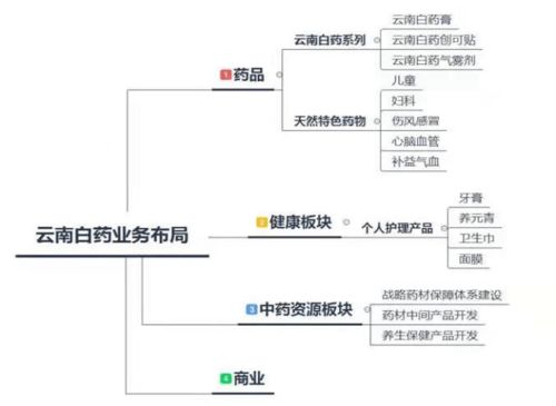 云南白药A股投资分析报告