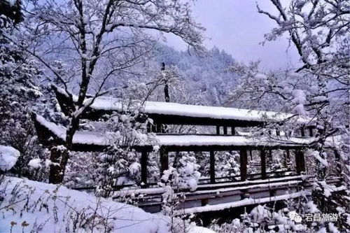 北京门头沟迎来入秋后第一场雪