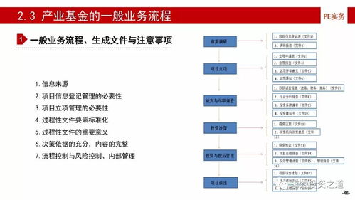 中国人寿官方网站，全面解析与投资建议