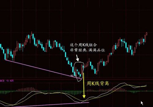 股票赚钱术，从入门到精通的全面指南