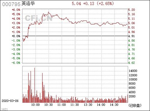 000795股票分析报告，英洛华科技有限公司