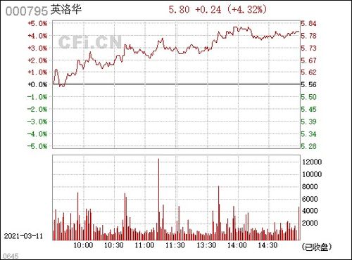 000795股票分析报告，英洛华科技有限公司