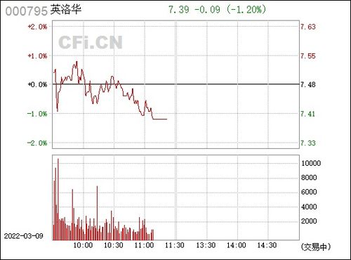 000795股票分析报告，英洛华科技有限公司