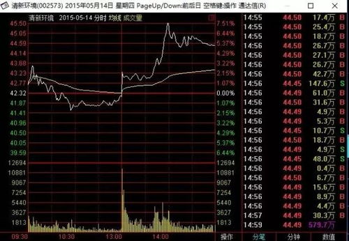 超日太阳股票的投资价值分析与风险评估