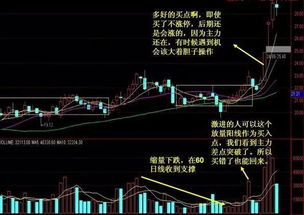 股票分析报告，600400江苏吴中股份有限公司