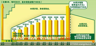 中国人寿福禄鑫尊，综合保障与财富增值的完美结合