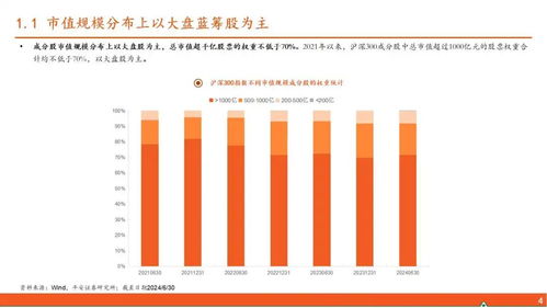 嘉实成长收益基金深度分析与投资策略