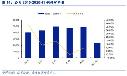 西部矿业股份有限公司投资分析报告