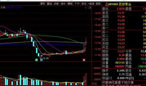 正虹科技股票分析报告