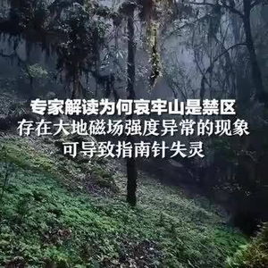 哀牢山禁区之谜，专家解读背后的原因