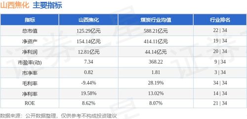 股票600740，山西焦化股份有限公司的投资分析