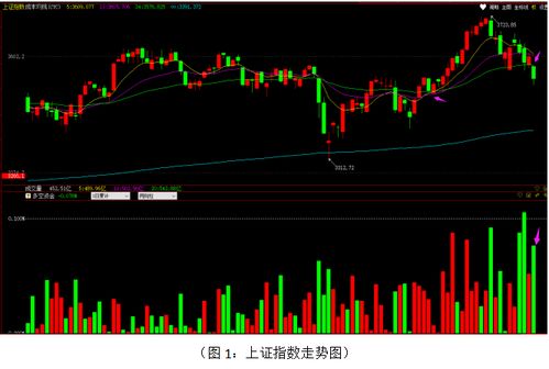 免费股票分析软件，选择与使用指南