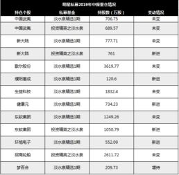 国投电力股票分析与投资策略