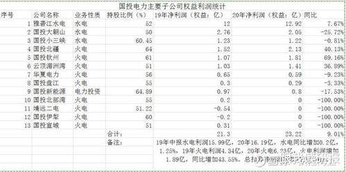 国投电力股票分析与投资策略