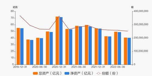 华夏大盘精选混合基金深度解析