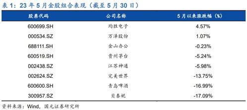 国元证券股票投资分析与策略