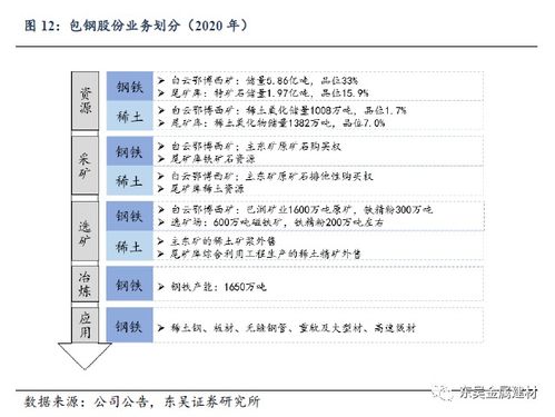 包钢稀土股票的投资分析与策略